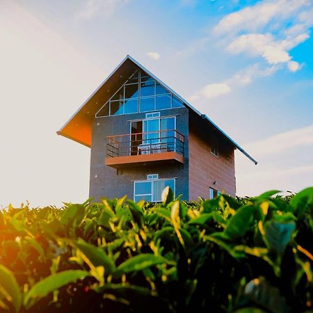Cloud Canopy - Tea Garden Family Pool Cottage In Вагамон Экстерьер фото