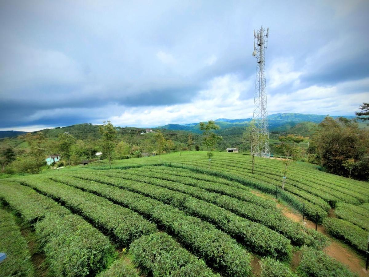 Cloud Canopy - Tea Garden Family Pool Cottage In Вагамон Экстерьер фото